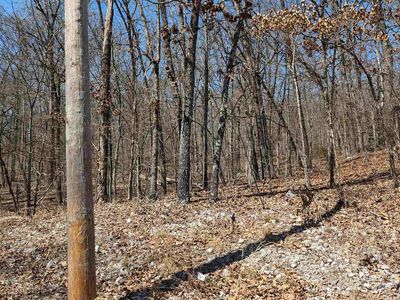 31 Ridgecrest Dr, Hardy, AR, 72542