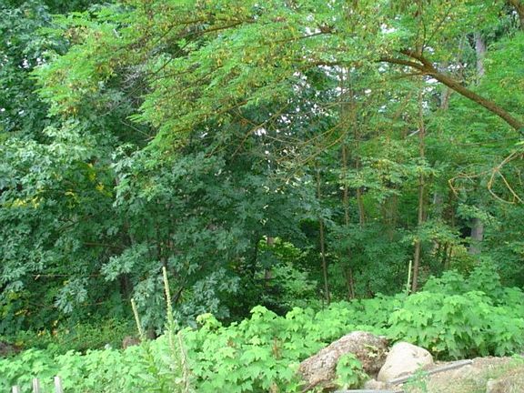 5th image of 6680 Old Parkdale Rd