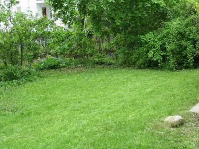 258 Roslindale Ave — Photo 17