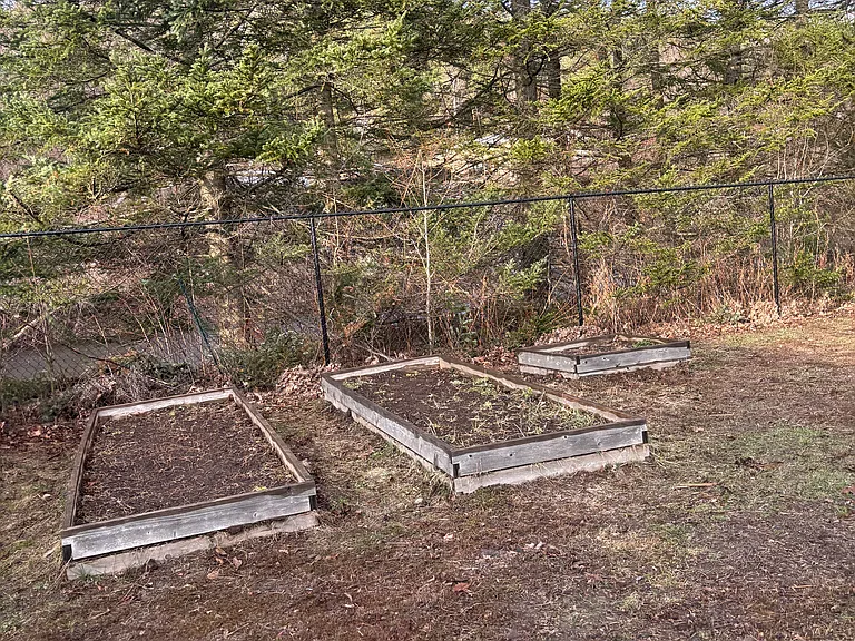 411 Concord Ave — Photo 8