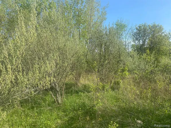 PARCEL Golf Rd #C, Lapeer, MI 48446