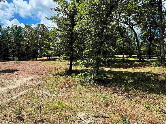 3rd image of 12161 Ridgeview Loop