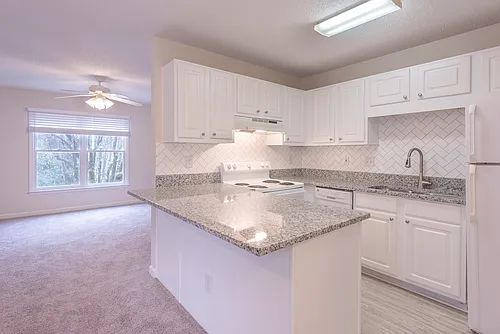 Floor plan LARGE ONE BEDROOM