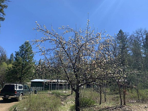 4th image of 360 Whispering Pines Dr
