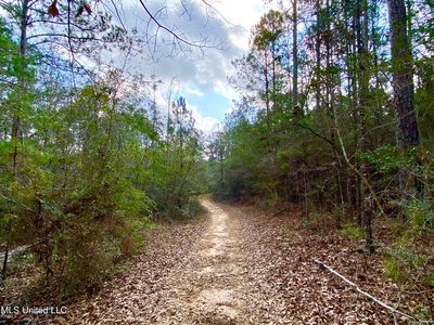 167 Bear Dr, Carriere, MS, 39426