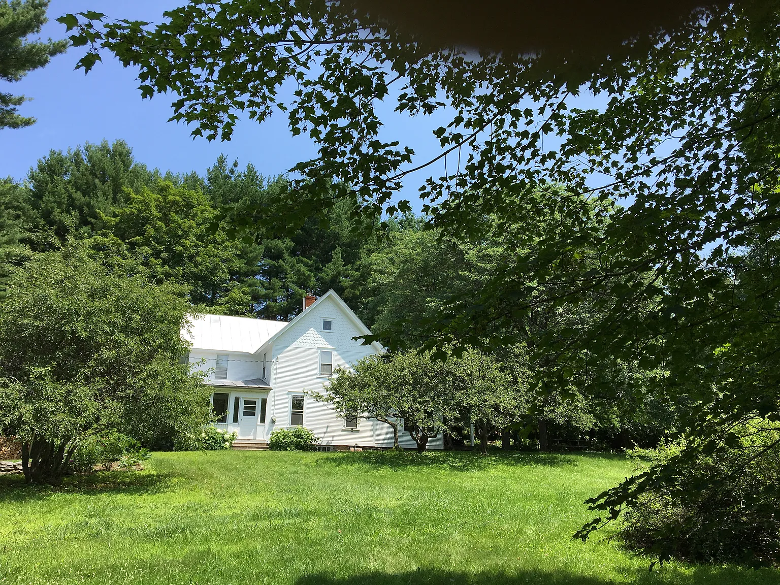 4 bed, 1.5 bath, 1684 sqft, $3,590 — Photo 3