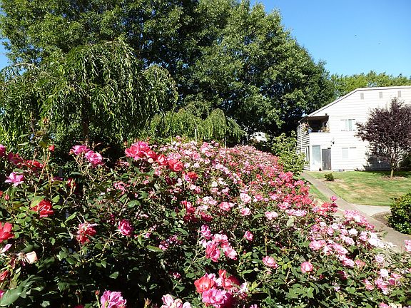 Flowers and walkways to every apartment!