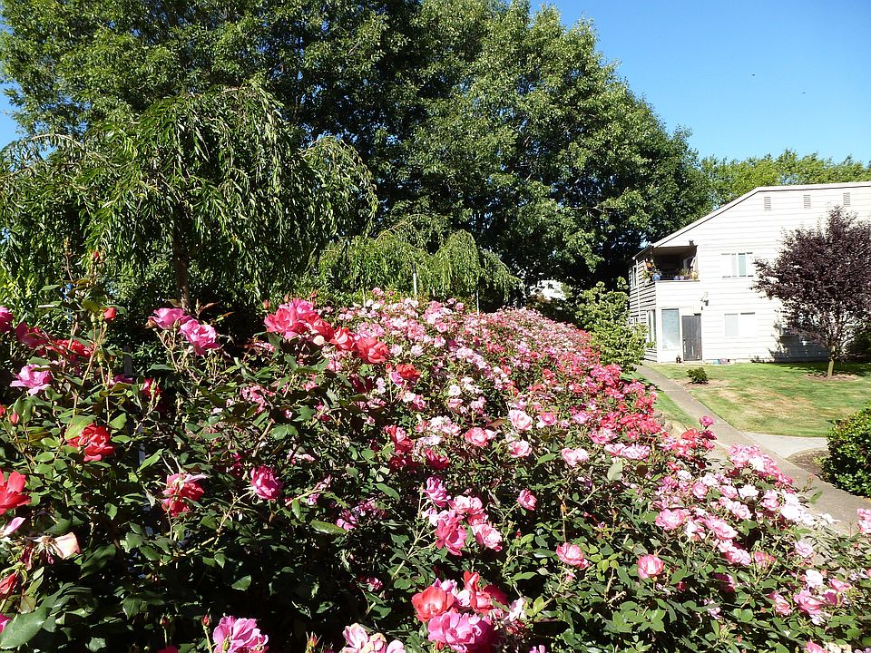 Flowers and walkways to every apartment!