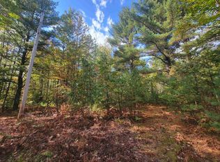 Vl Norway Rd, Saint Helen, MI 48656