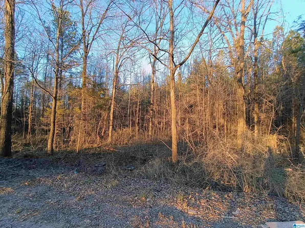 0 Zubers Rd #0, Sylacauga, AL 35150