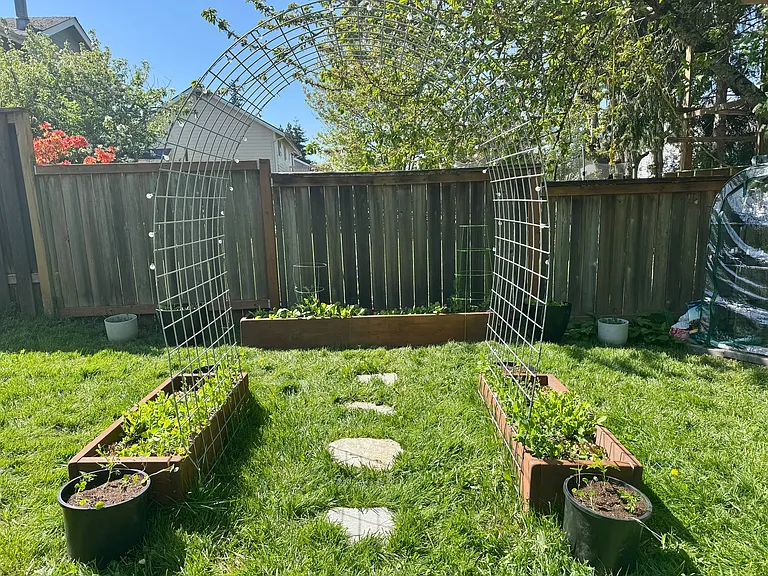 Raised Bed Garden in Bloom