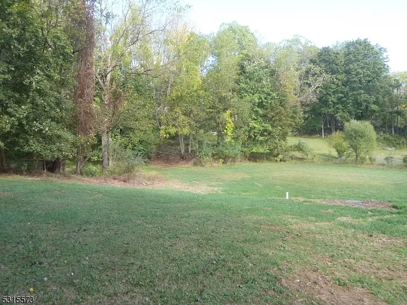 3 bed, 1.0 bath, $2,900 — Photo 3