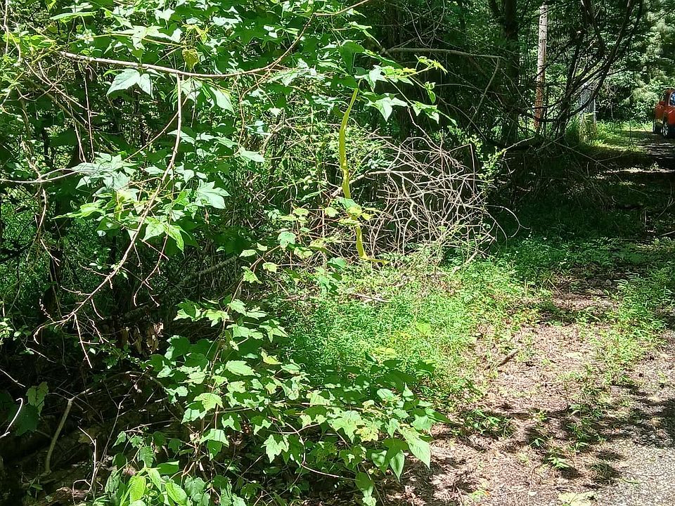 1st image of 455 Rice Rd