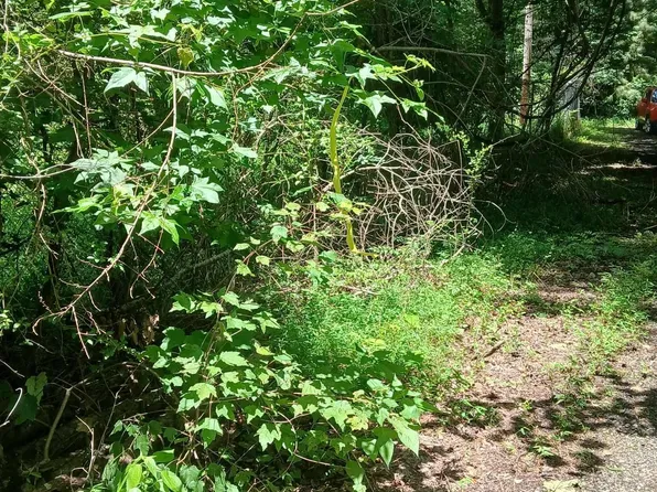 455 Rice Rd, Grant, AL 35747