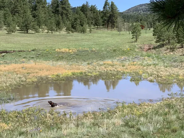Tbd Schulze Ranch Rd, Westcliffe, CO 81252