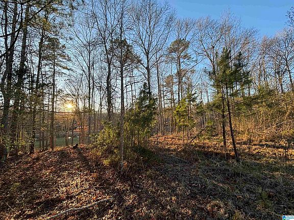 5th image of 7 County Road 499 Lot 7