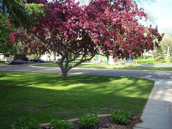 View of Stockman park