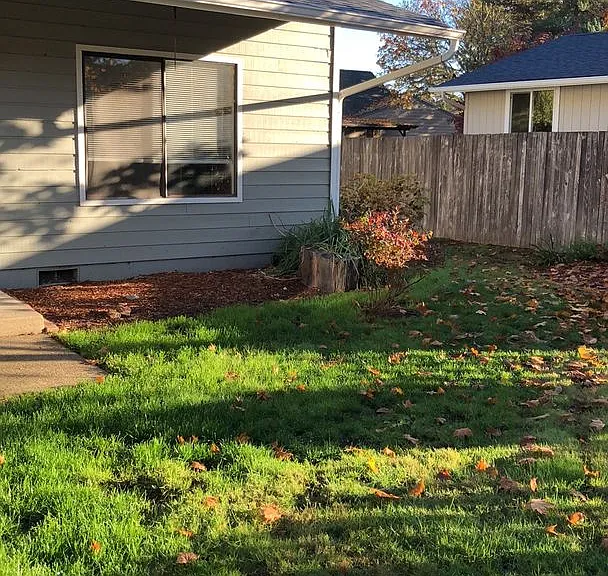 314 Vincent St — Photo 13