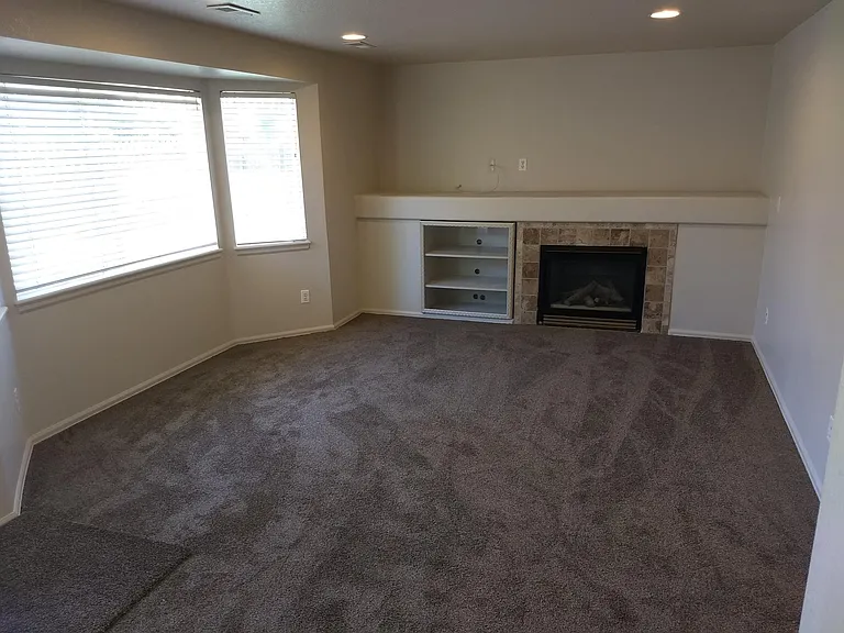 Living room with fireplace