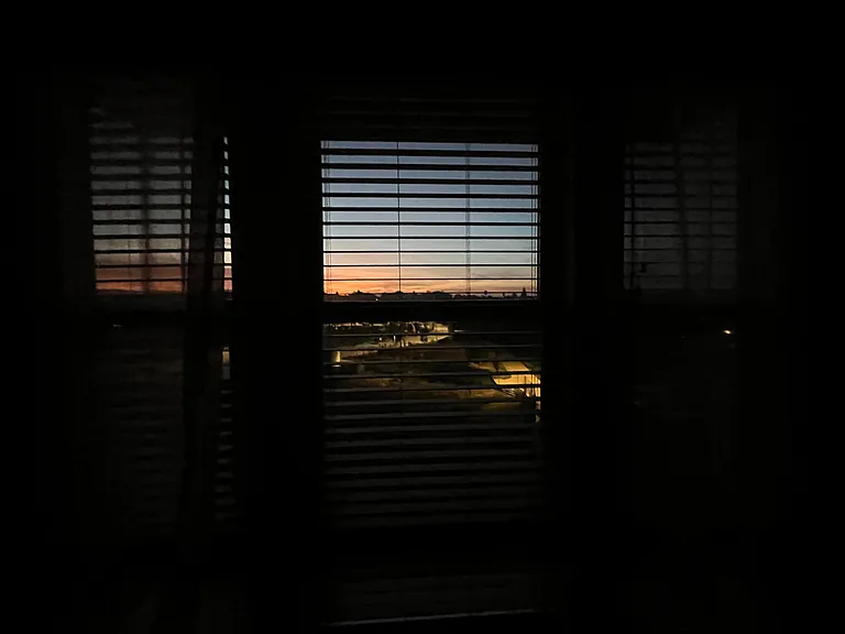 Master Bedroom Windows view with sheer curtains.