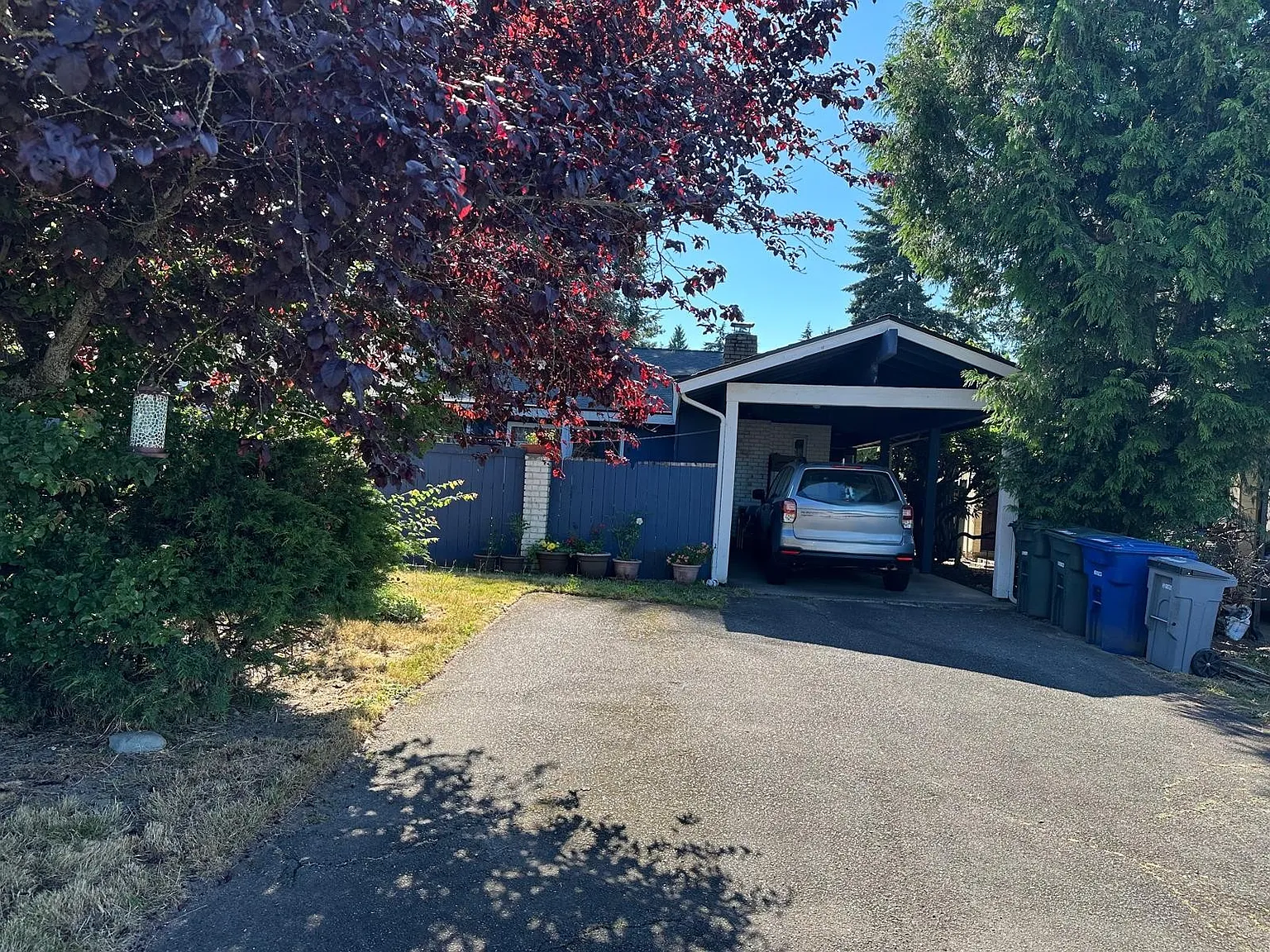 3 bed, 1.5 bath, 1200 sqft, $2,900 — Photo 2
