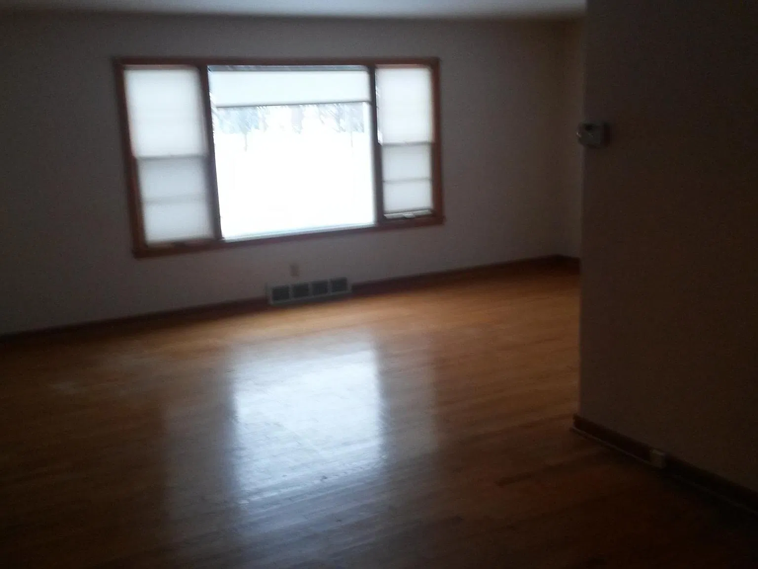 2 bed, 980 sqft, $1,150 — Photo 2