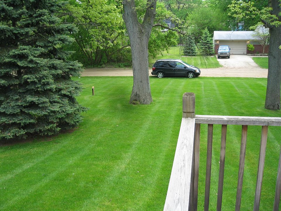 back yard view