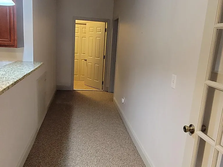 1212 Turtle Creek Ct #MAIN — Photo 8