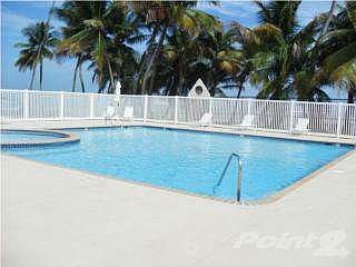Pool 2