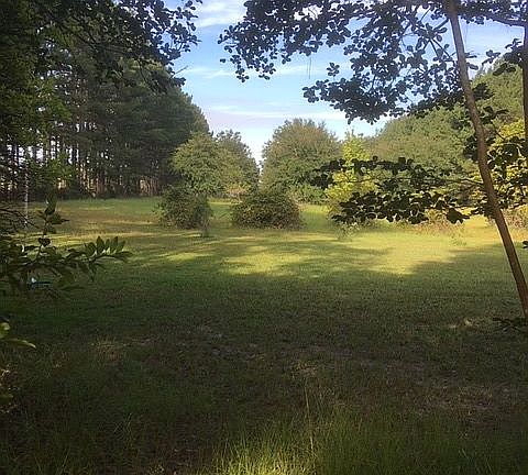 Front yard towards road
