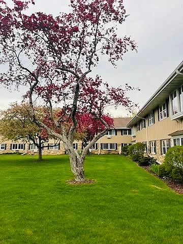 Superb upkeep of beautiful outdoor common areas.