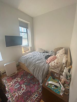 2nd image of 166 Orchard St #2AA