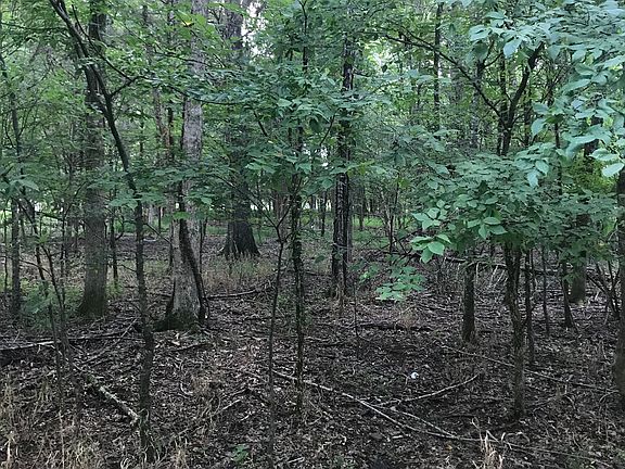 4th image of 1209 Lake Marie Rd