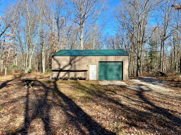 1370 N Warfield Rd, Wellston, MI 49689