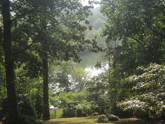 LakeWhetstone View in Summer