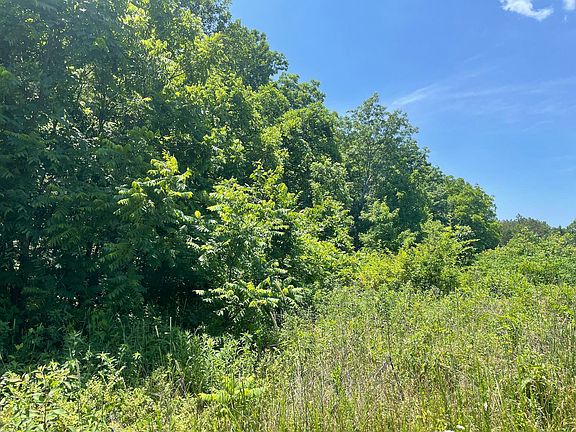 3rd image of 000 County Road 585