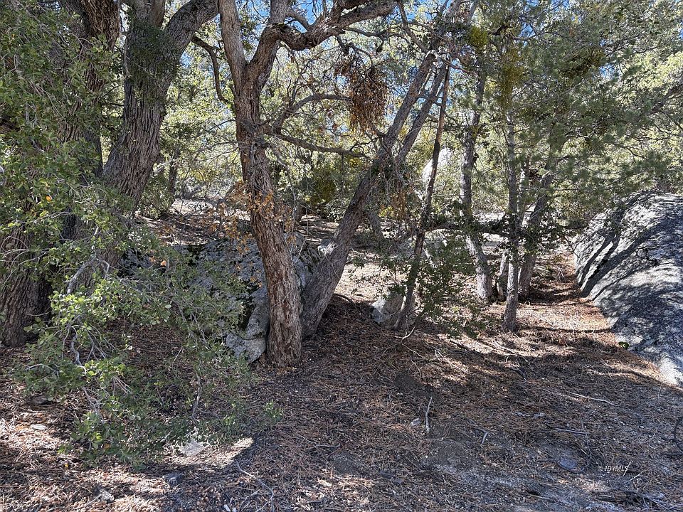 1st image of Pine Crst