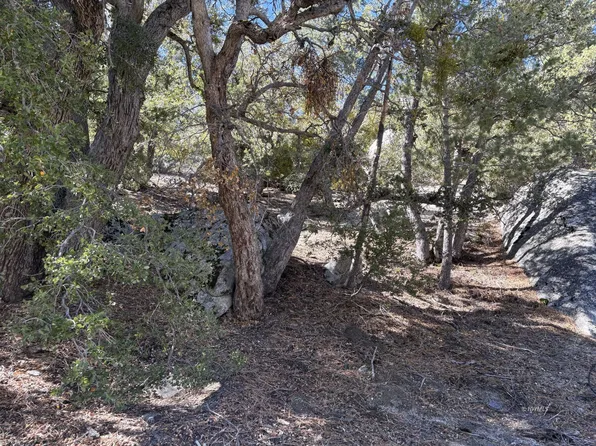 Pine Crst, Idyllwild, CA 92549