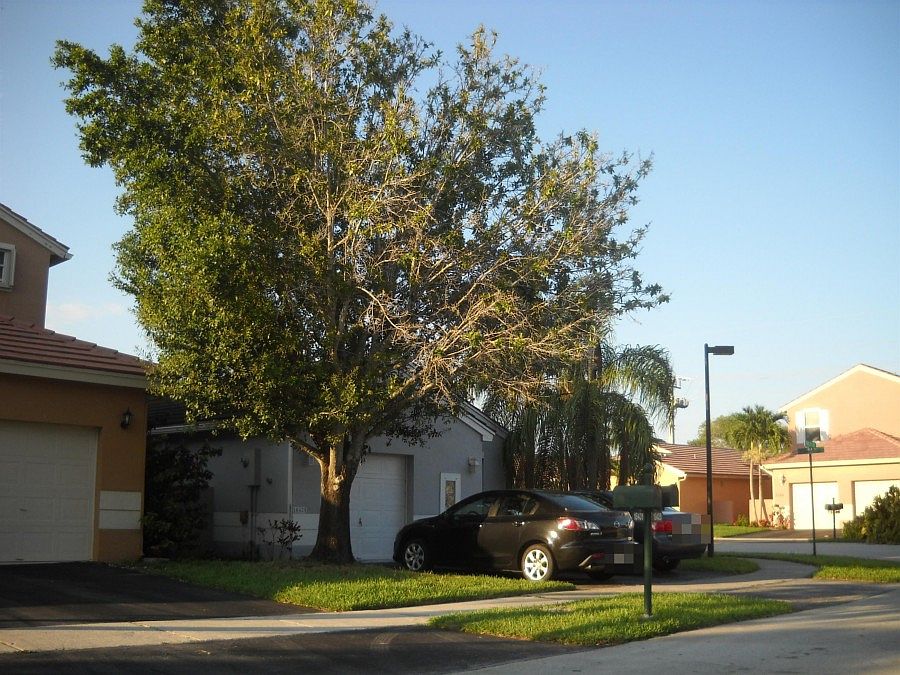2nd image of 18425 NW 21st St