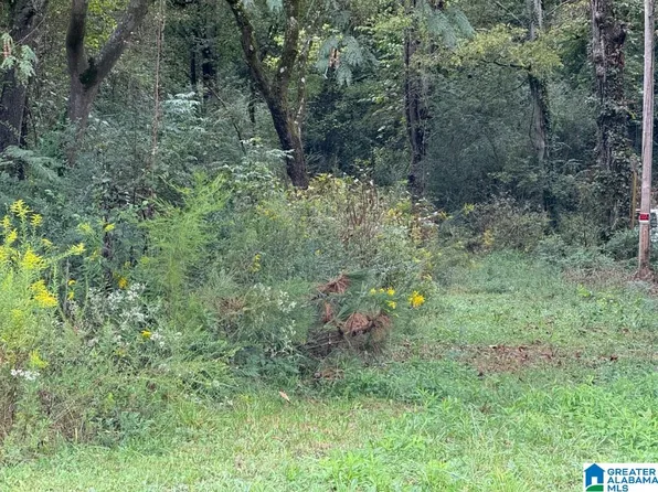 1807 Pelham St #0, Anniston, AL 36201