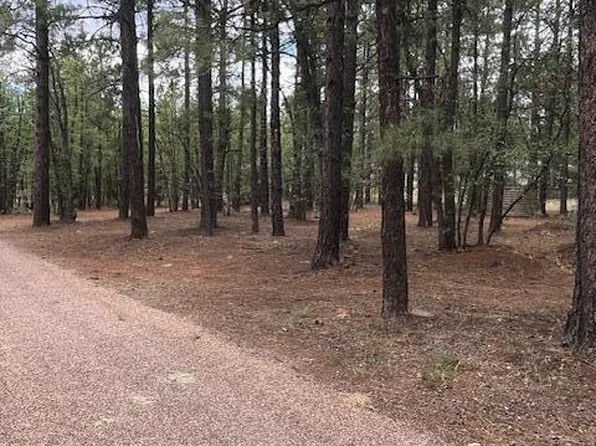 5480 Apache Trl, Pinetop, AZ 85935