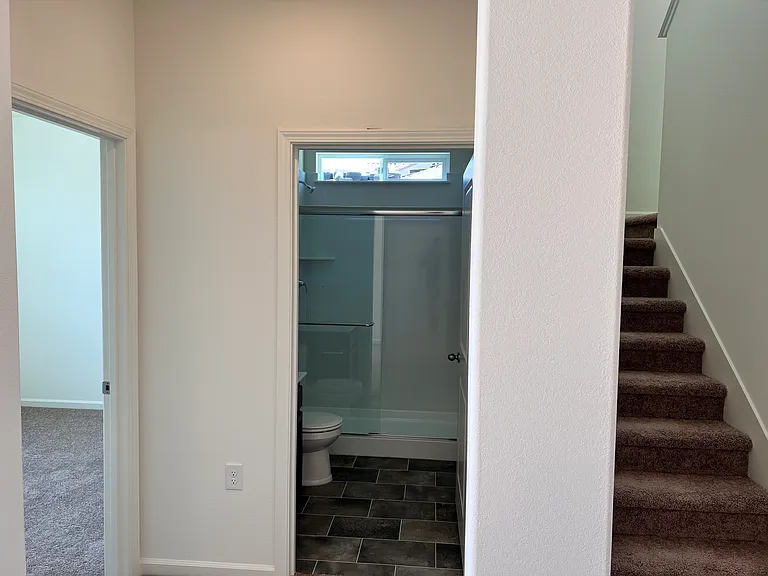 Full Downstairs Bathroom
