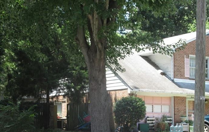 2nd image of 13 Howe Rd