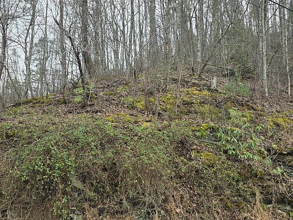 5th image of 6 Wildcat Ridge Rd Lot 6