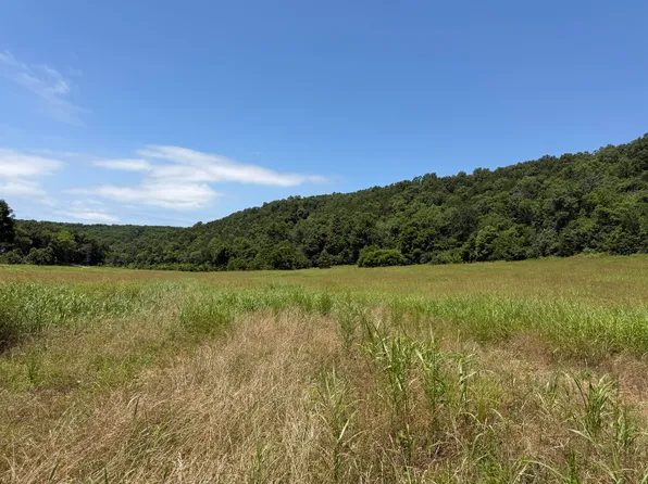 000 Northfork Village St. Lot 1 Street, Tecumseh, MO 65760