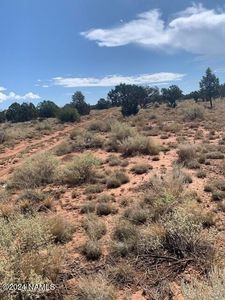 764 S Spruce Rd #371, Williams, AZ, 86046