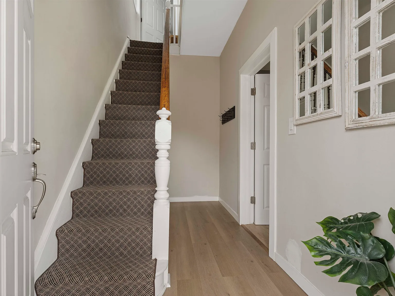 2 bed, 1.0 bath, $2,800 — Photo 2
