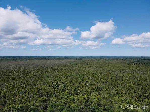 15.5 Road, Wetmore, MI 49895