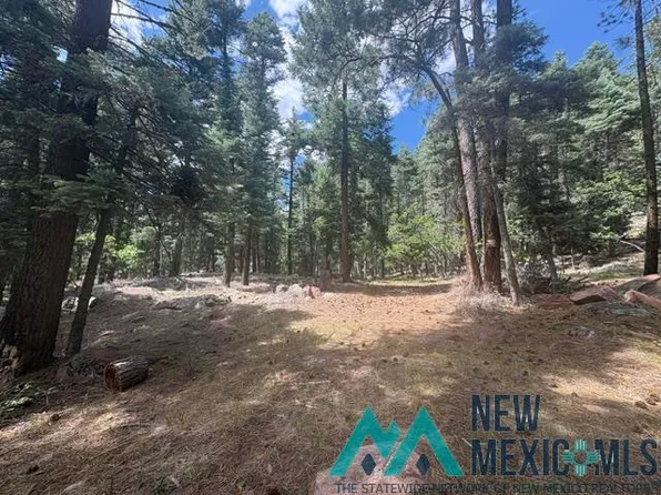 29 Brazos Ests, Chama, NM 87520