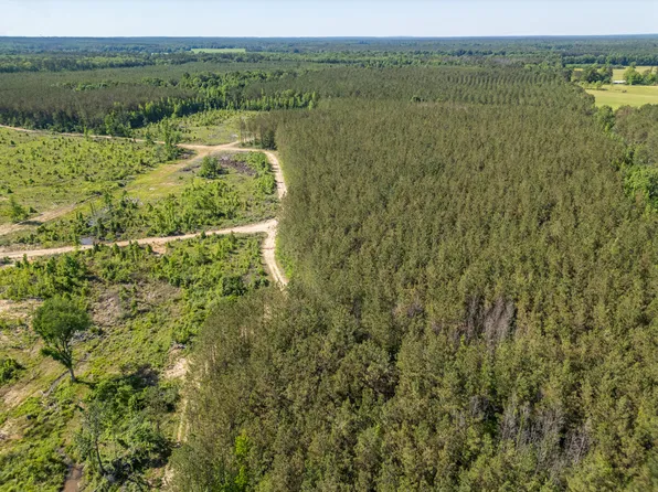 Bluitt Rd, Maben, MS 39750